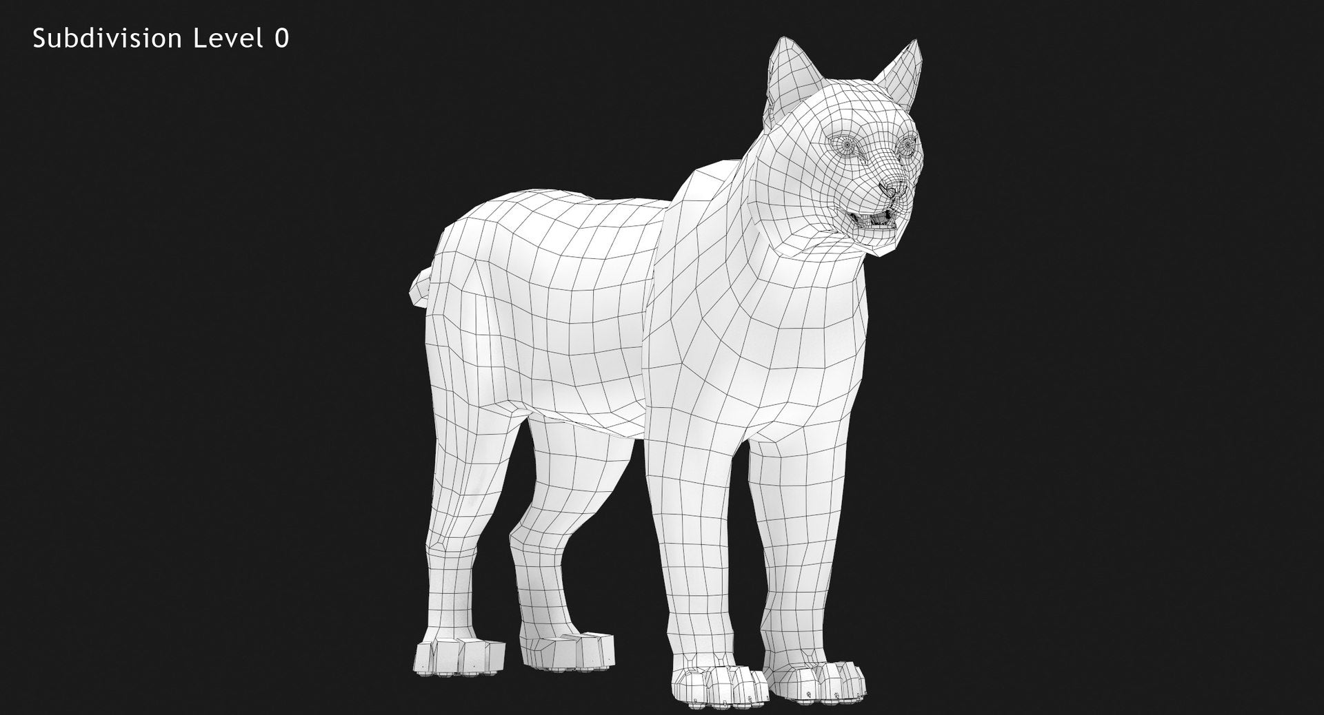 Bobcat 3D Model Wireframe View - Subdivision Level 0
