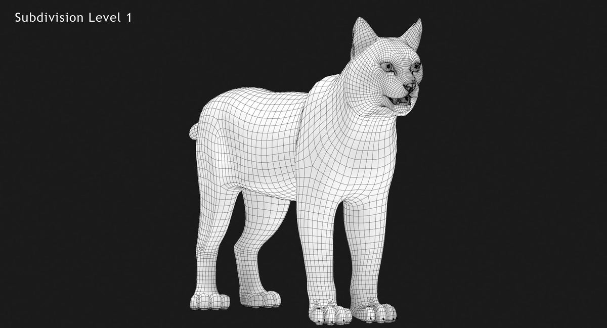 Bobcat 3D Model Wireframe View - Subdivision Level 1