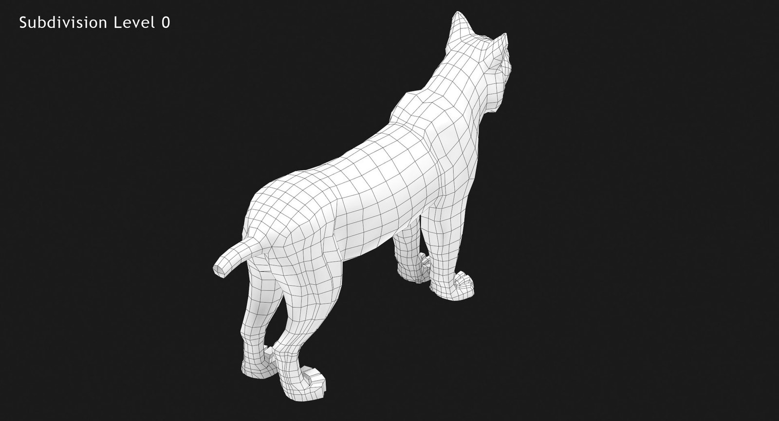 Bobcat 3D Model Wireframe View - Subdivision Level 0
