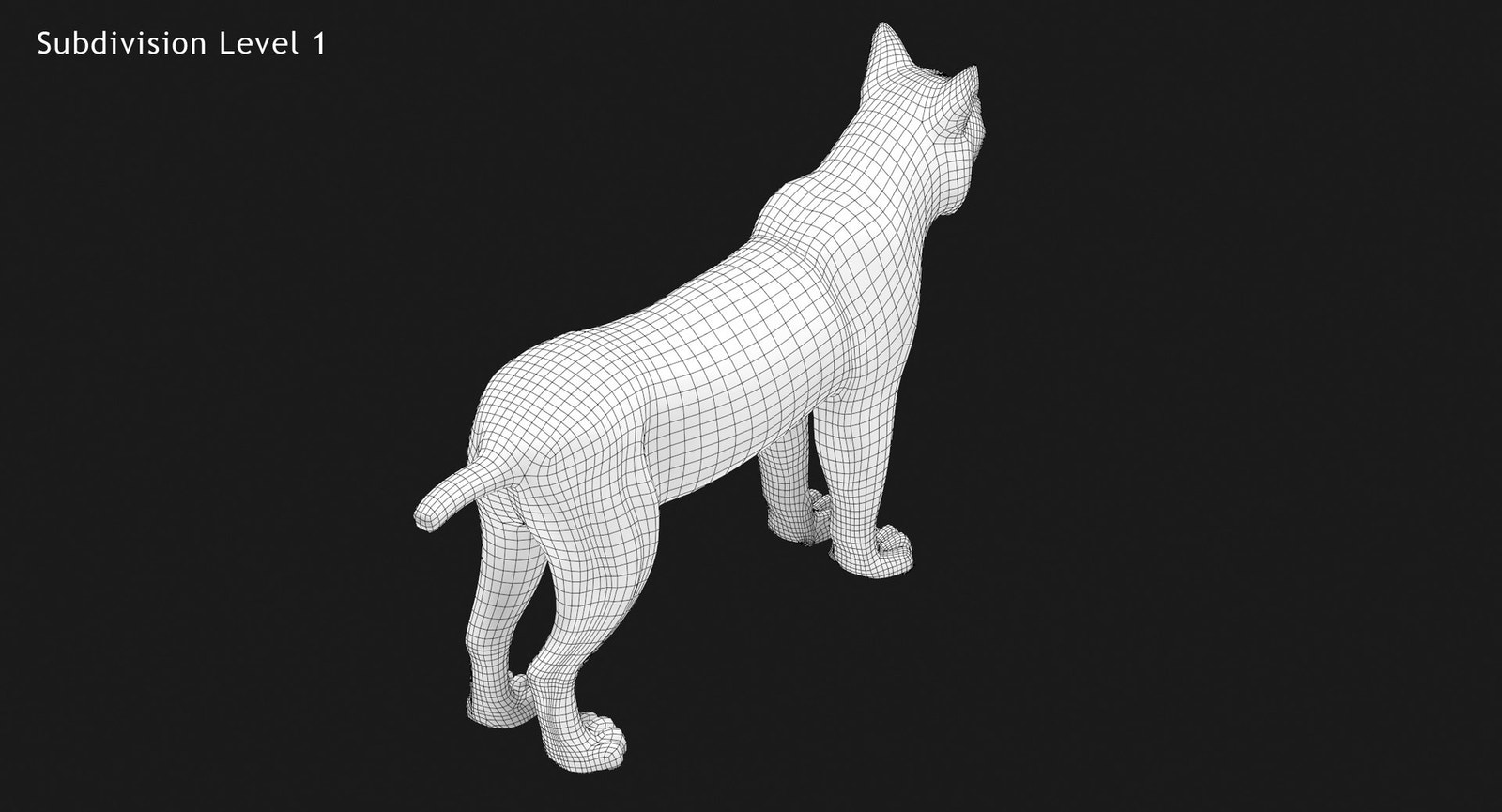 Bobcat 3D Model Wireframe View - Subdivision Level 1