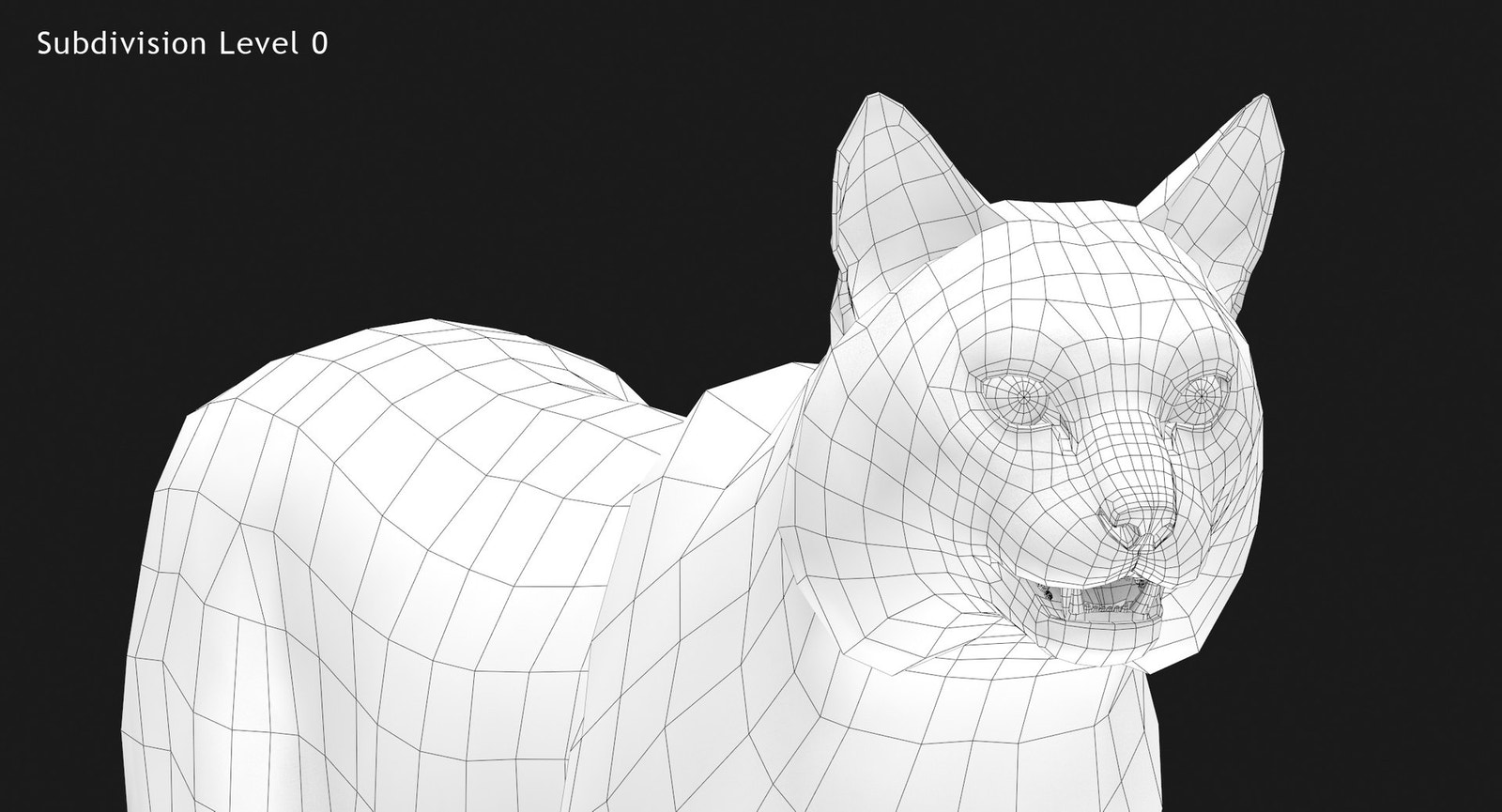 Bobcat 3D Model Close Up Wireframe View - Subdivision Level 0