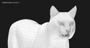 Bobcat 3D Model Close Up Wireframe View - Subdivision Level 1 Thumbnail