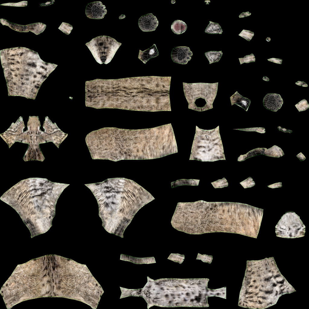 Bobcat 3D Model Body UVs