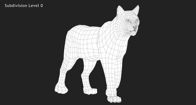 Animated Bobcat 3D Model Close Up View Wireframe 0