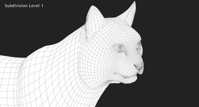 Animated Bobcat 3D Model Close Up View Wireframe 1