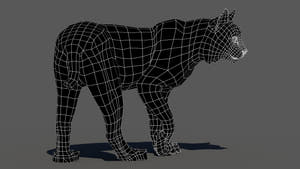 Rigged bobcat 3D model wireframe, subdivision level 0 Thumbnail