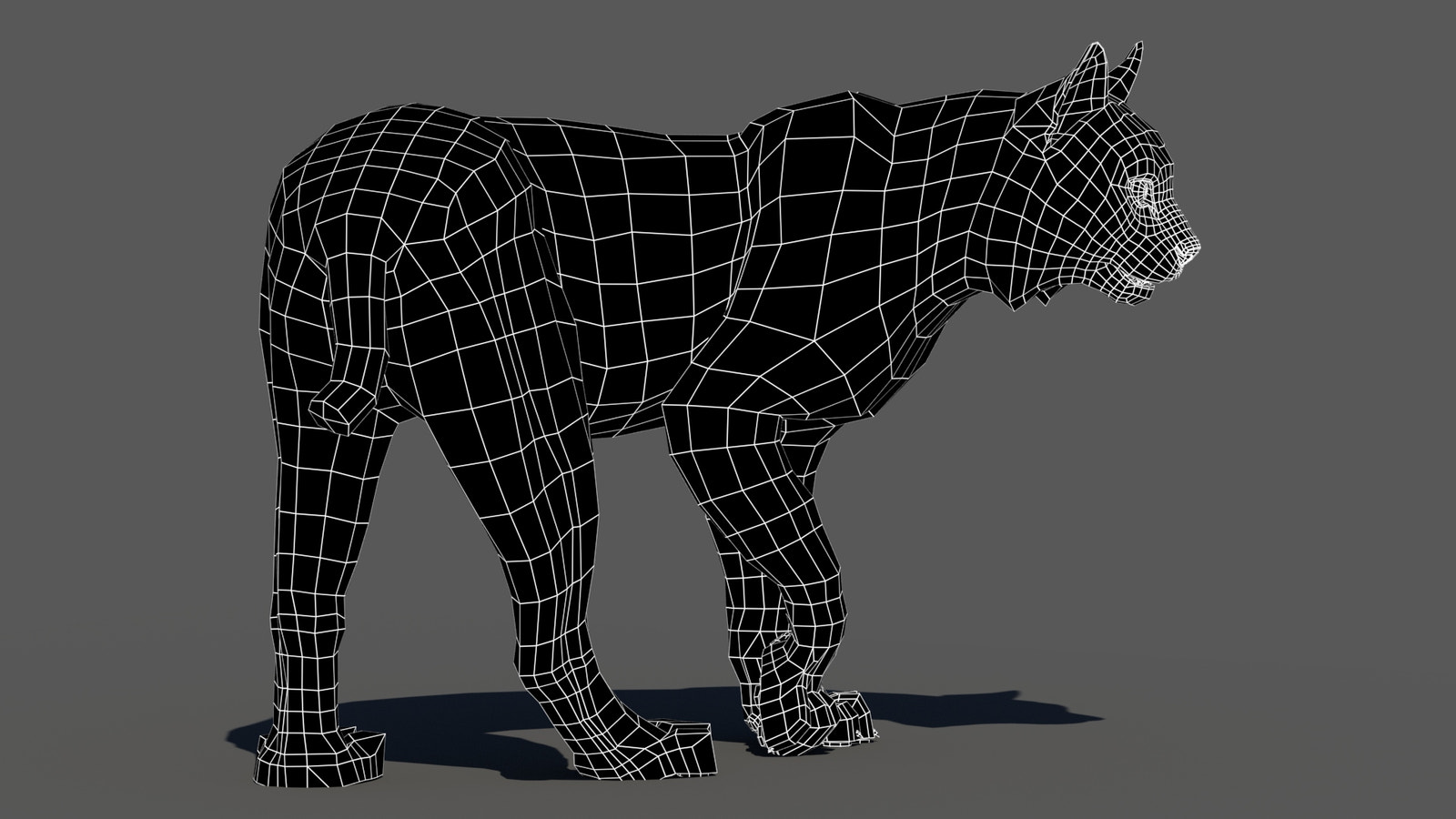 Rigged bobcat 3D model wireframe, subdivision level 0
