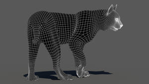 Rigged bobcat 3D model wireframe, subdivision level 1 Thumbnail
