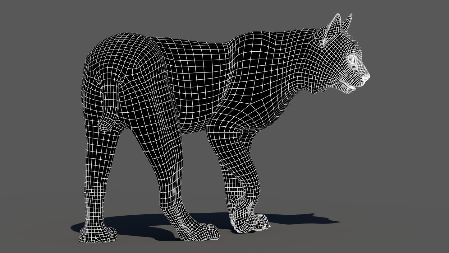 Rigged bobcat 3D model wireframe, subdivision level 1