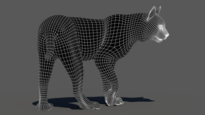 Rigged bobcat 3D model wireframe, subdivision level 1