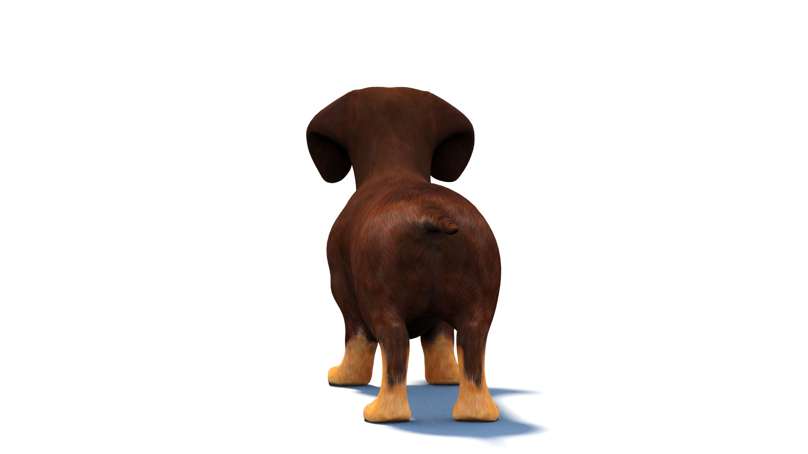 Animated Dachshund Dog 3D Model 360° view 1 frame 16