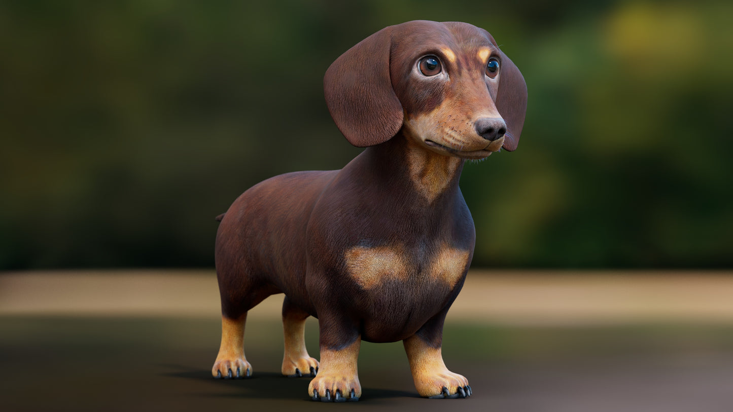 Dachshund Dog 3D Model for Download