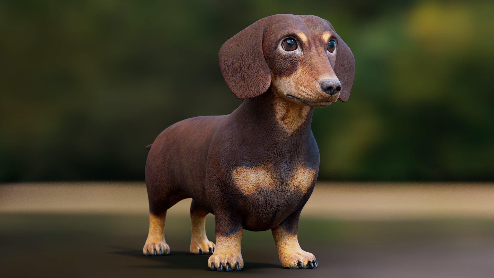 Dachshund 3D Model – Low Poly, Game-Ready