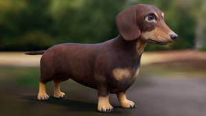 Dachshund Dog 3D Model for Download Thumbnail