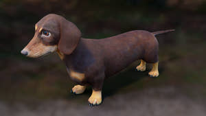 Realistic Dachshund Dog 3D Model for Download Thumbnail