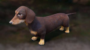 Realistic Dachshund Dog 3D Model for Download Thumbnail