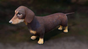 Dachshund 3D Model – Low Poly, Game-Ready Thumbnail