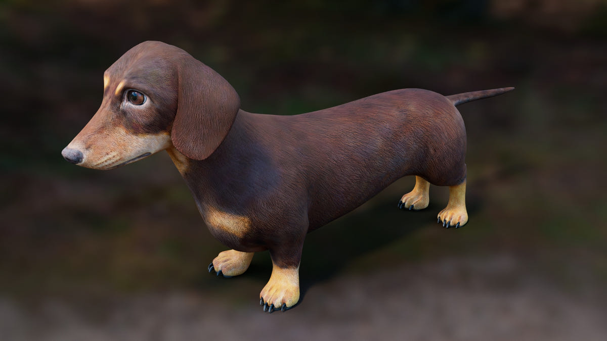 Dachshund 3D Model – Low Poly, Game-Ready