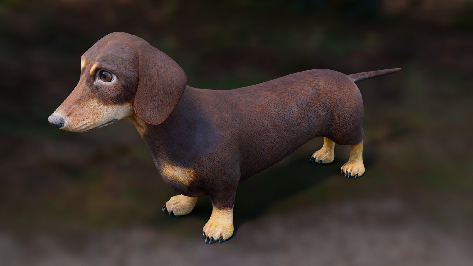 Dachshund 3D Model – Low Poly, Game-Ready