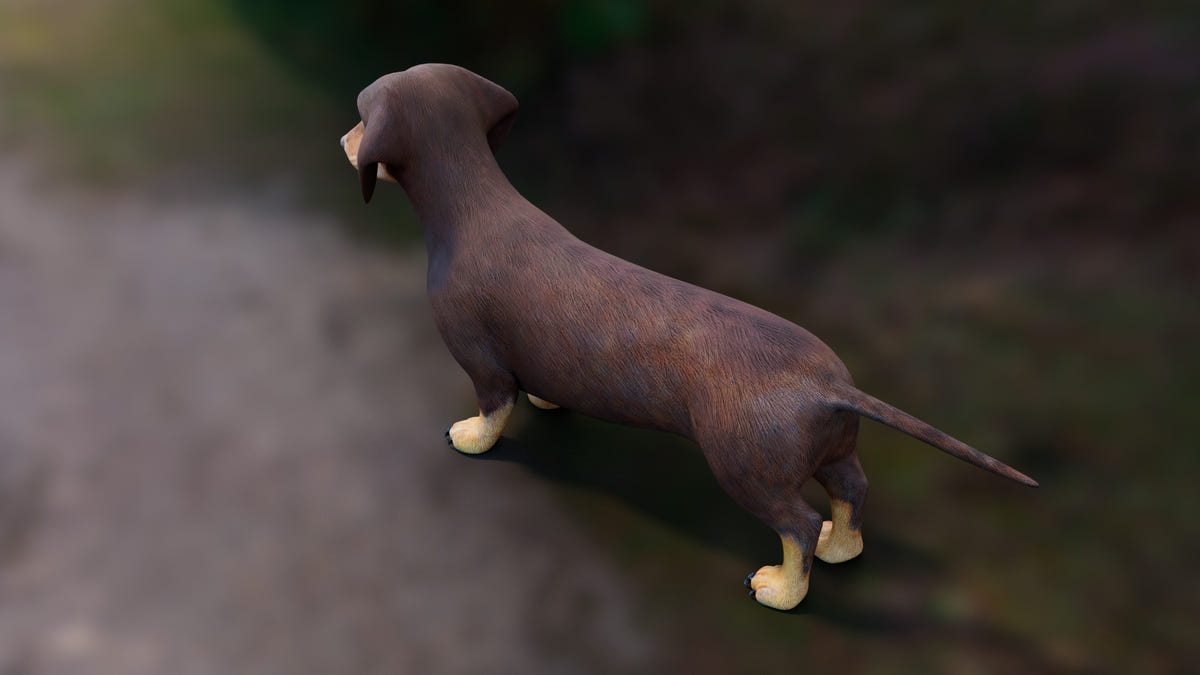 Dachshund 3D Model – Low Poly, Game-Ready