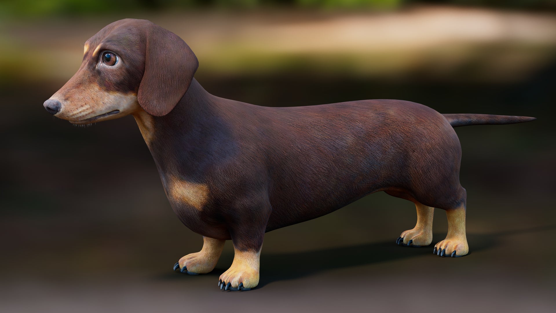 Realistic Dachshund Dog 3D Model for Download