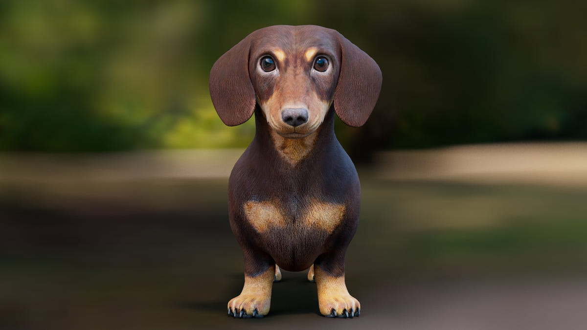 Dachshund 3D Model – Low Poly, Game-Ready