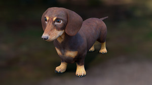 Realistic Dachshund Dog 3D Model for Download Thumbnail