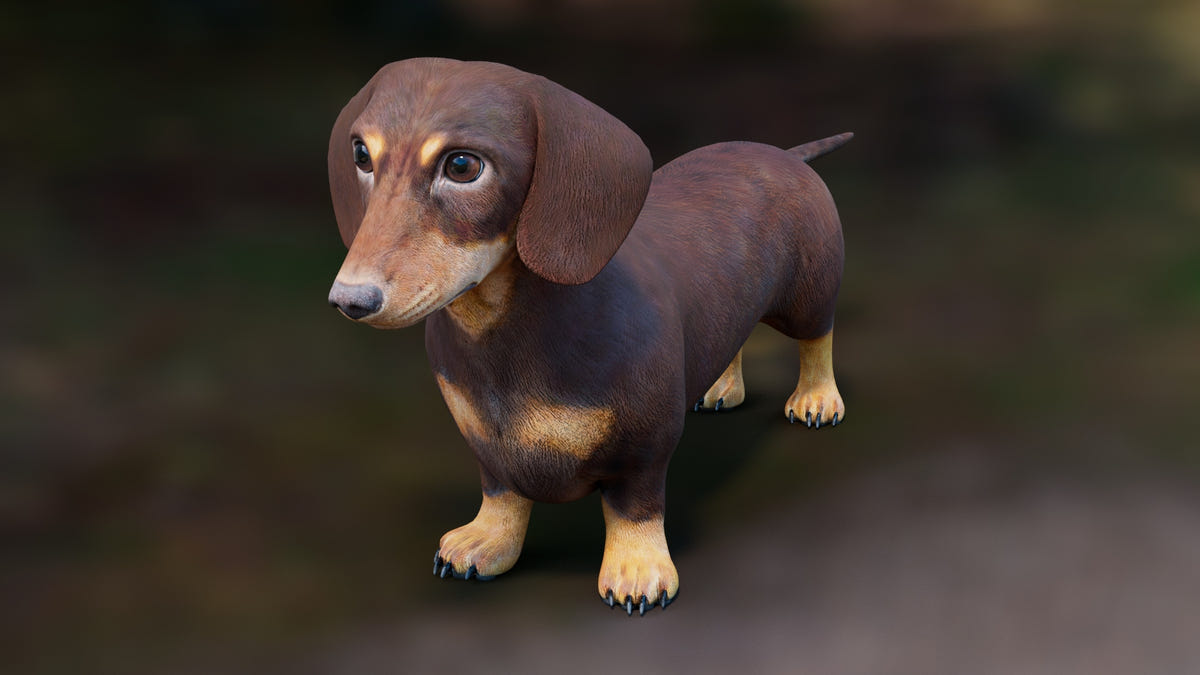 Dachshund 3D Model – Low Poly, Game-Ready