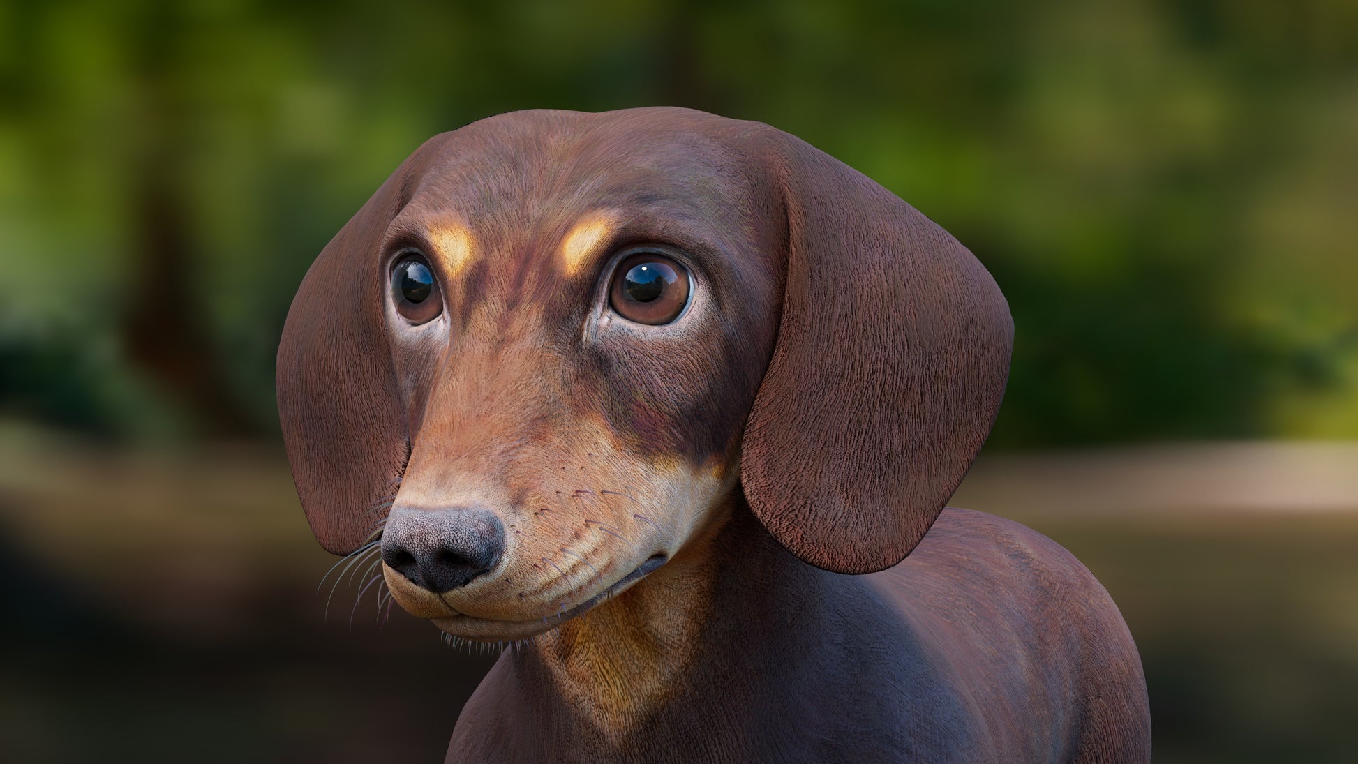 Realistic Dachshund Dog 3D Model for Download