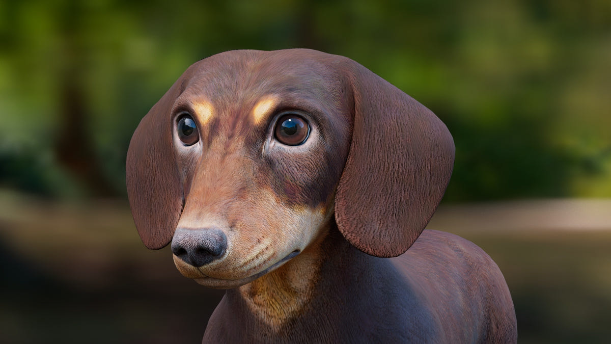 Dachshund 3D Model – Low Poly, Game-Ready