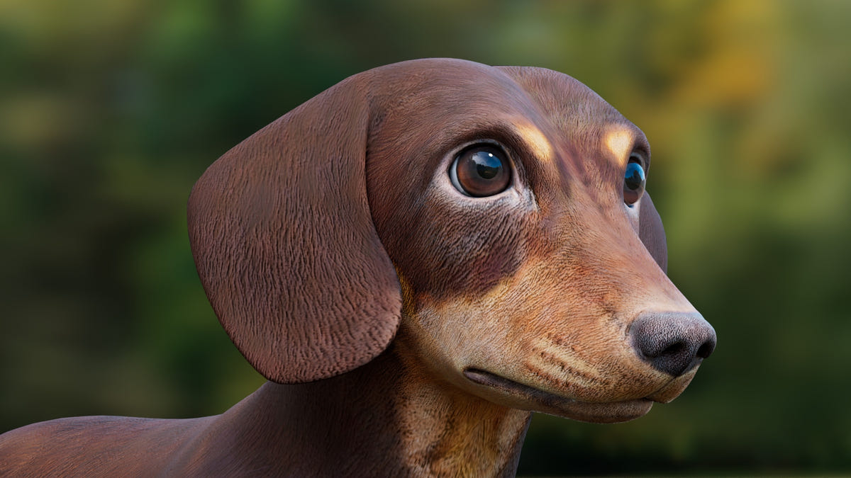 Dachshund 3D Model – Low Poly, Game-Ready