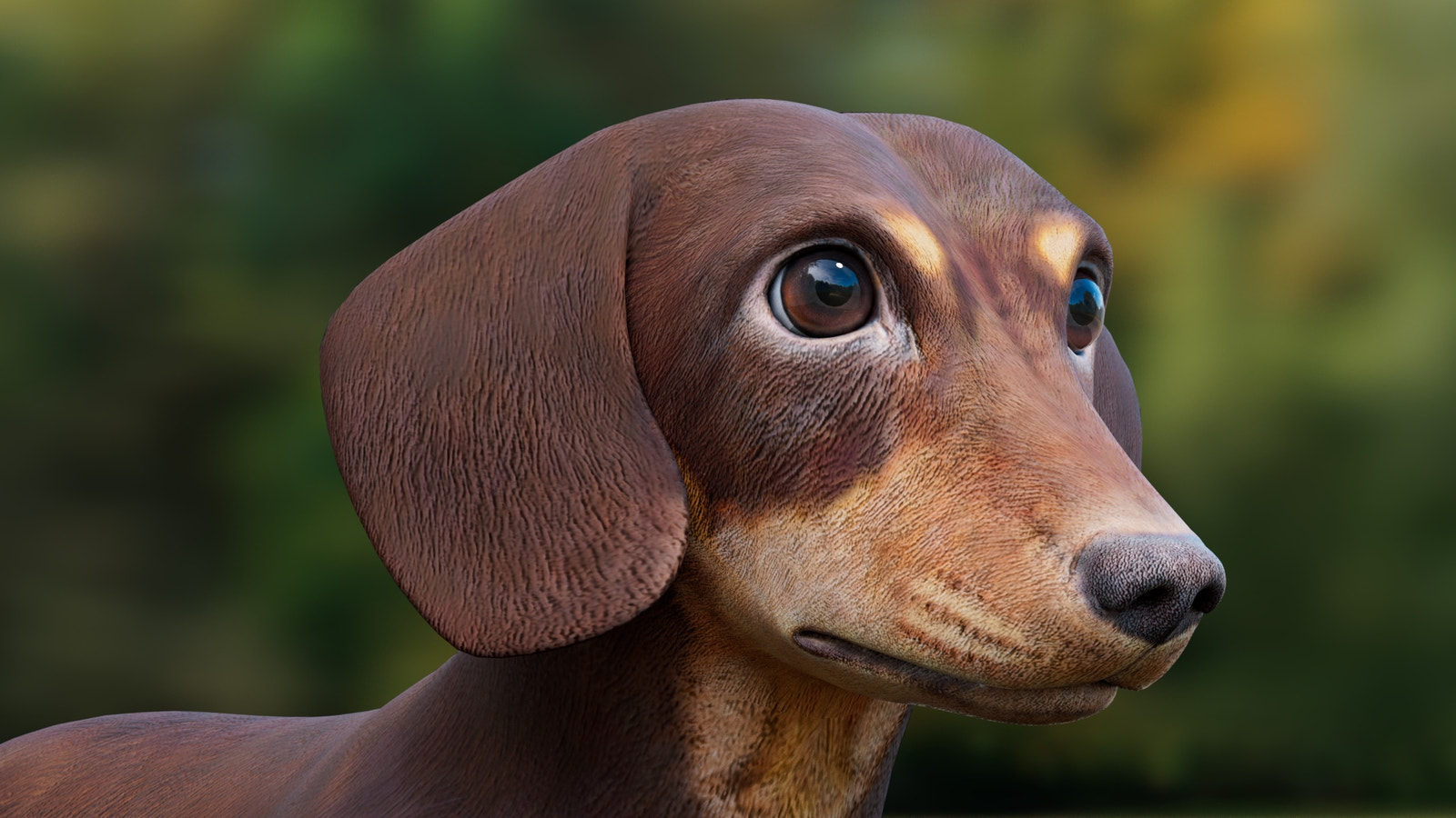 Dachshund 3D Model – Low Poly, Game-Ready