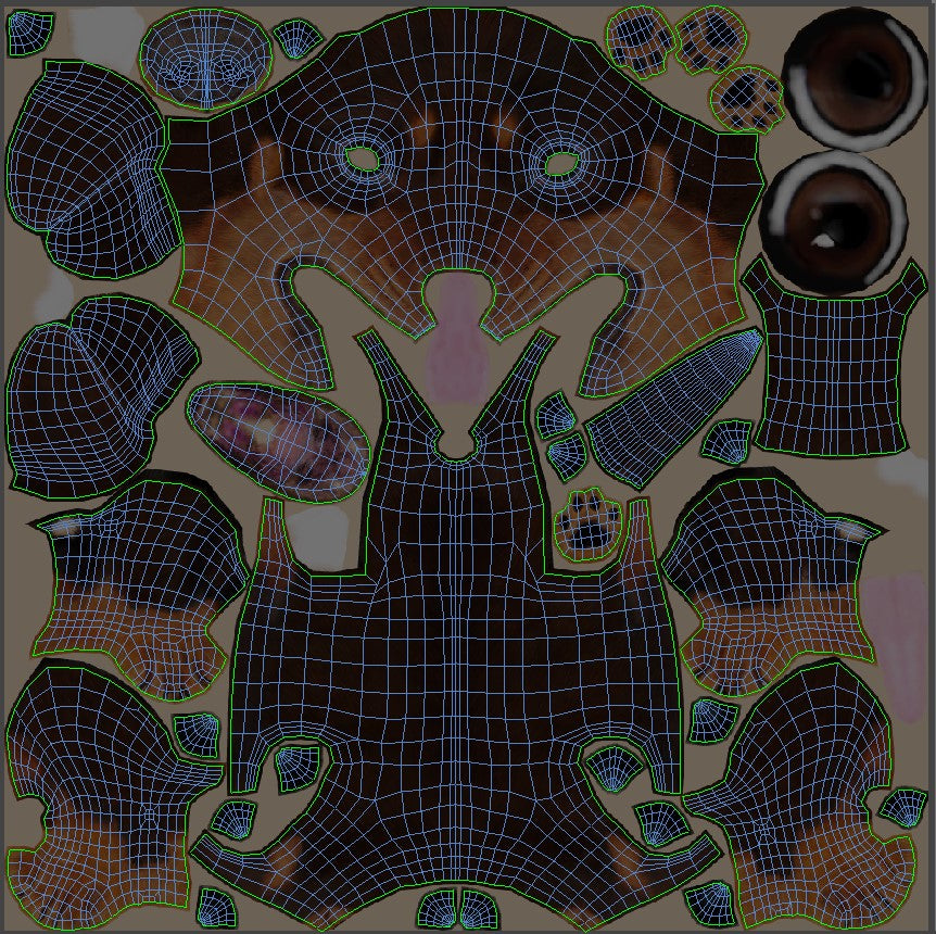 Animated Dachshund Dog 3D Model Fur