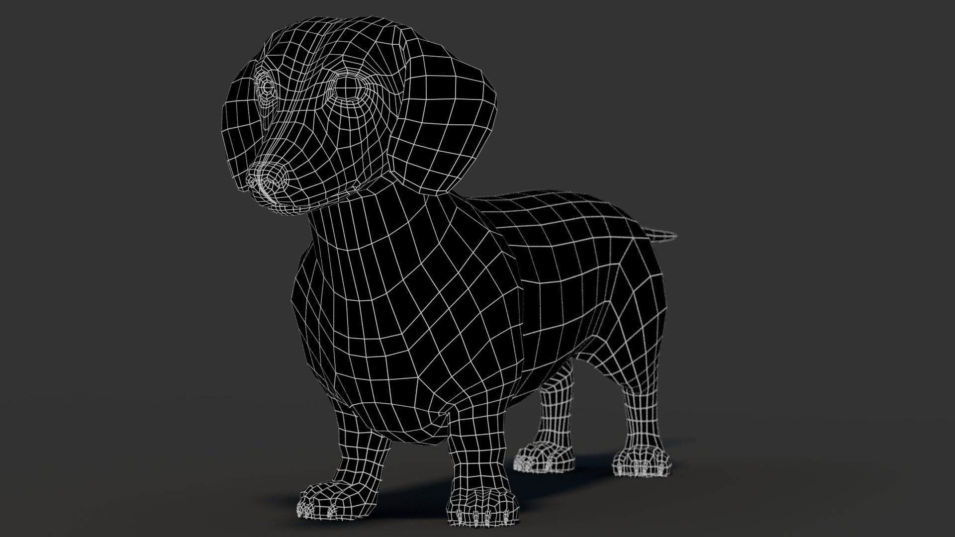 Dachshund 3D Model Wireframe View Subdivision Level 0