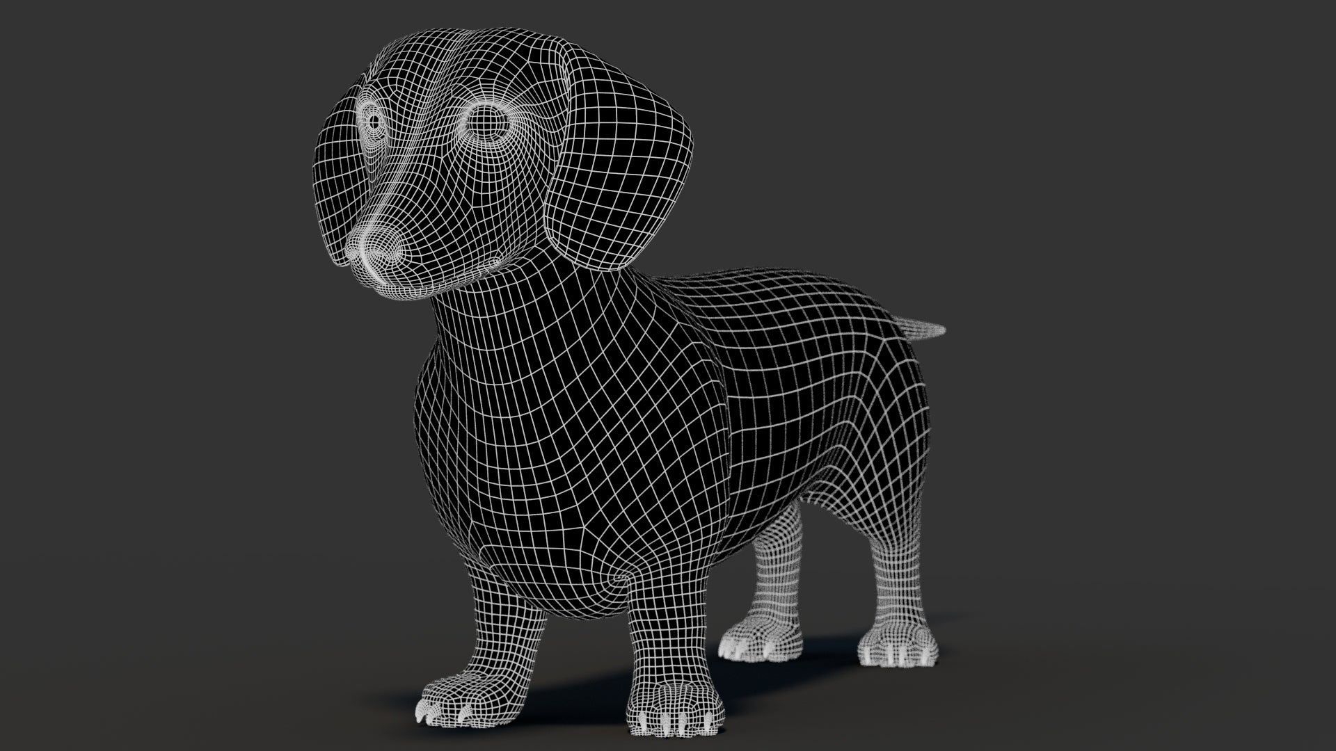 Dachshund 3D Model Wireframe View Subdivision Level 1