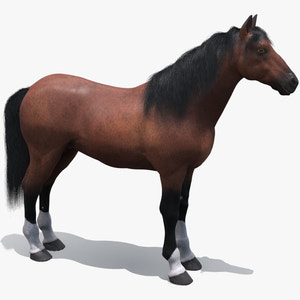 Brown Horse 3D Model Fur Thumbnail