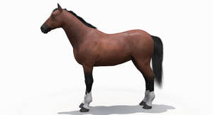 Brown Horse 3D Model Fur Thumbnail
