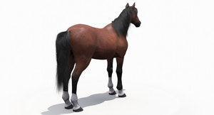 Brown Horse 3D Model Fur Thumbnail