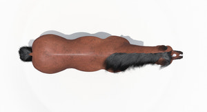 Brown Horse 3D Model Fur Thumbnail