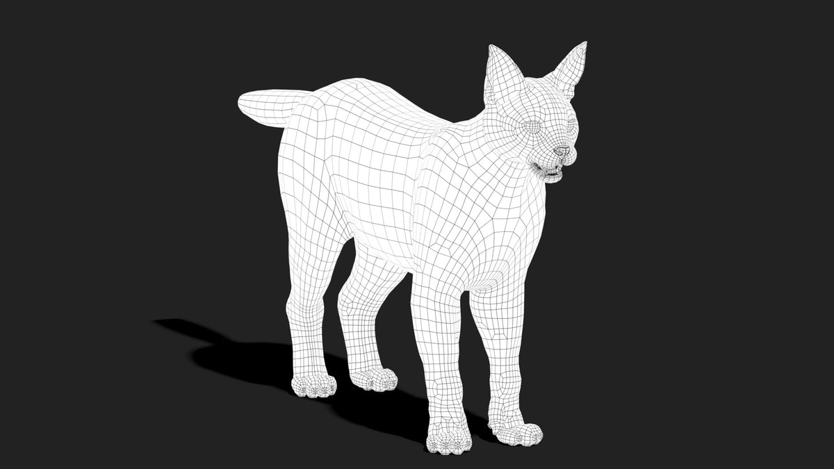 Caracal 3D Model Wireframe View Subdivision Level 0
