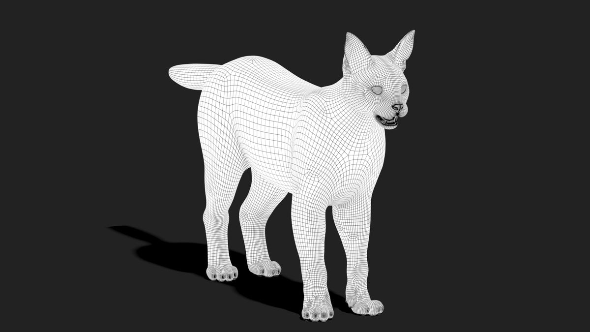 Caracal 3D Model Wireframe View Subdivision Level 1