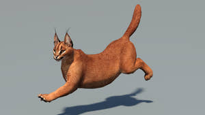 Caracal cat 3d model in mid-air on a gray background Thumbnail