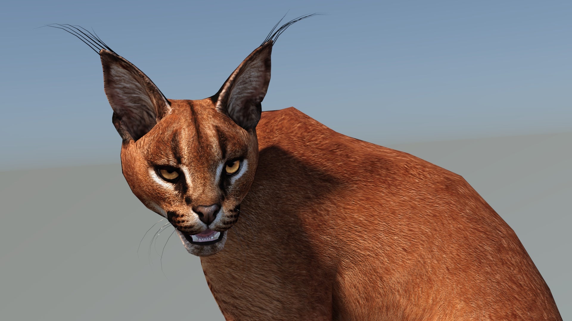 Animated Caracal 3D Model Low Poly