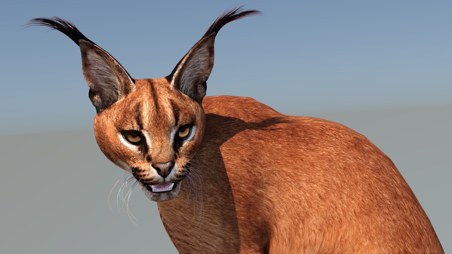 Animated Caracal Cat 3D Model Close Up View Rigged with 3ds Max CAT Toolkit - Character Animation Toolkit