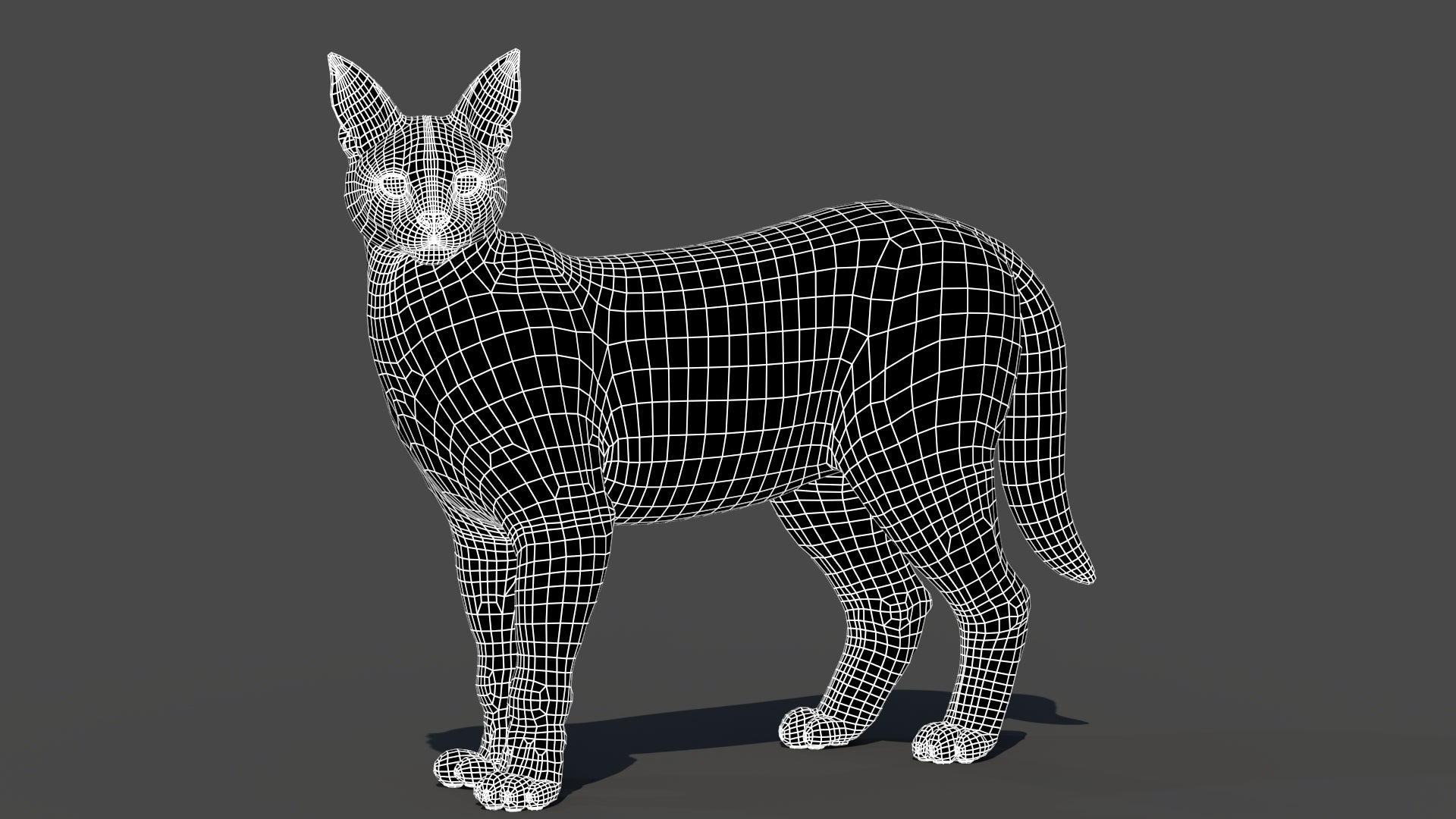 Realistic Caracal 3D Model Wireframe View Subdivision 0