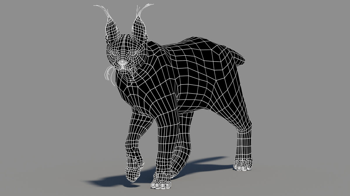 Animated Caracal 3D Model Low Poly Wireframe View Subdivision 0