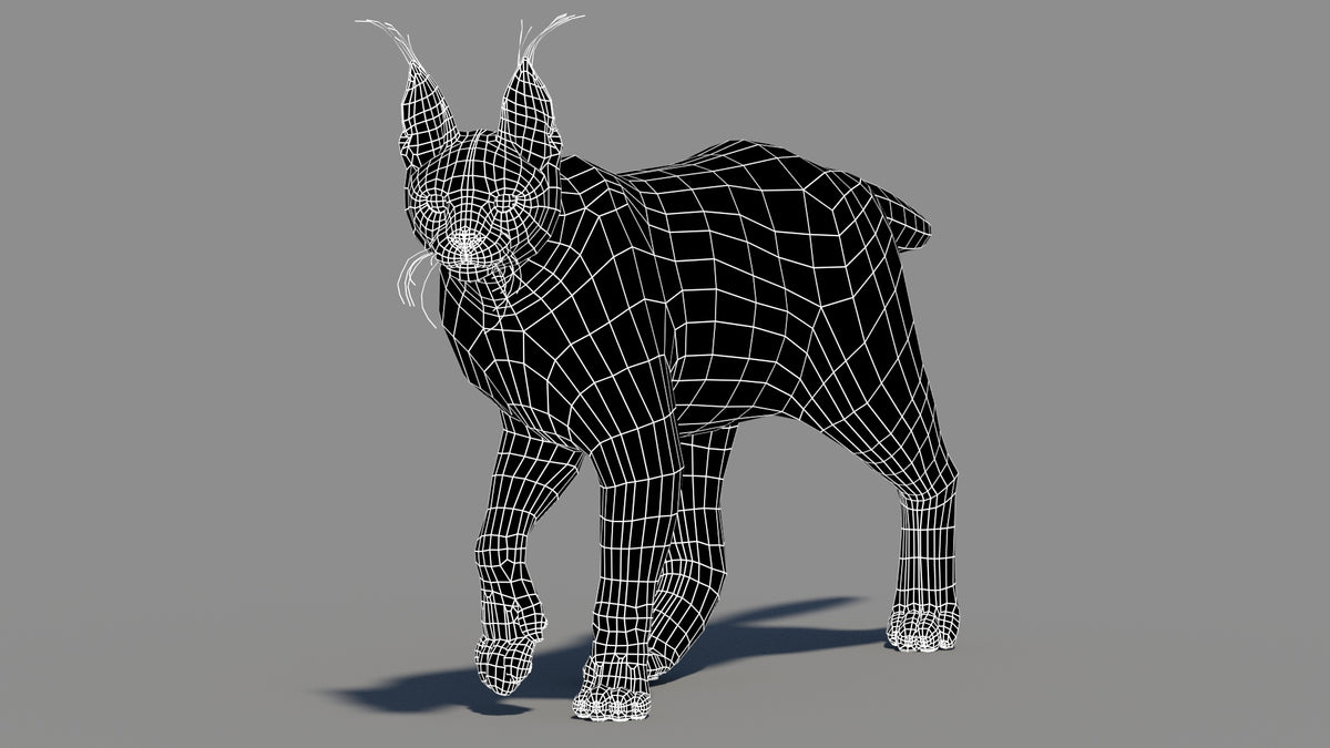 Animated Caracal 3D Model Low Poly Wireframe View Subdivision 0