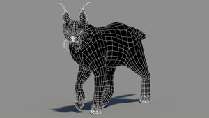 Tufted‑Ear Wildcats 3D Bundle — Caracal & Lynx (Rigged, Animated) Thumbnail