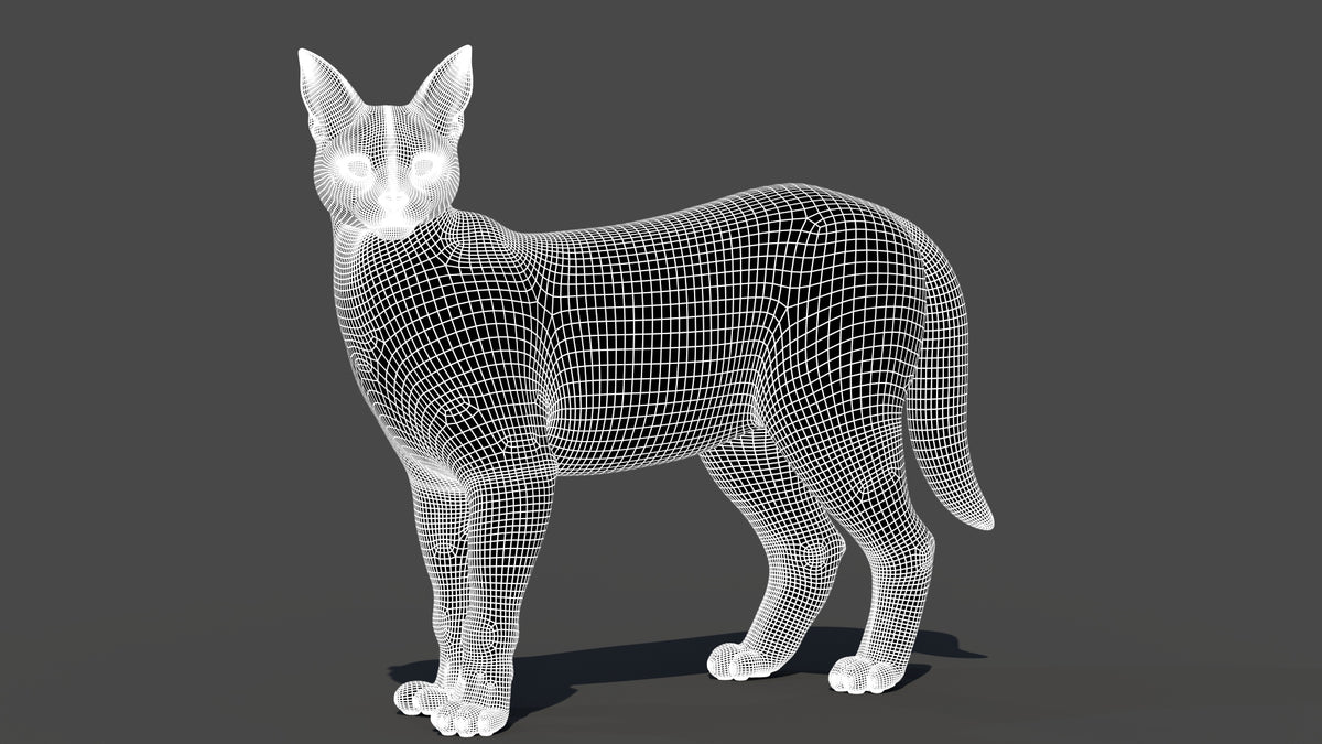 Realistic Caracal 3D Model Wireframe View Subdivision 1