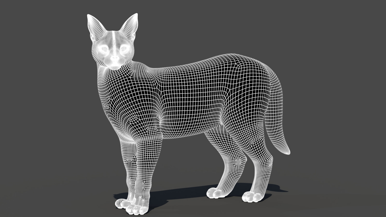 Realistic Caracal 3D Model Wireframe View Subdivision 1